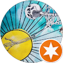 Han Solo profile picture