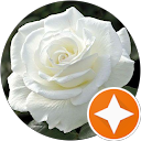 Lemon profile picture