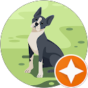 Cierra Farnschlader profile picture