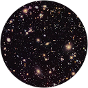 Dominic S. profile picture