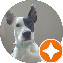 L. G. profile picture